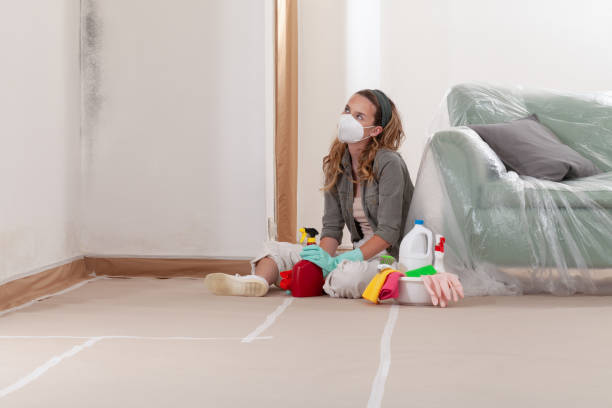Reliable Mold Remediation contractor in Columbia, TN by Cheap Mold Removal